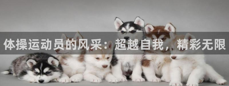 凯发官网下载招商电话号码是多少啊：体操运动员的风采：