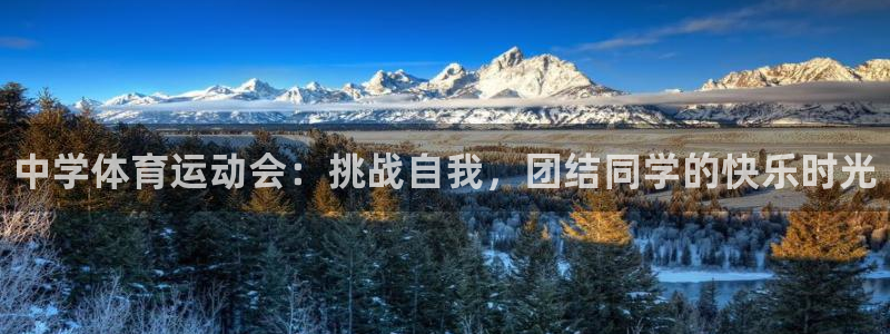 凯发官网下载官方客服电话：中学体育运动会：挑战自我，
