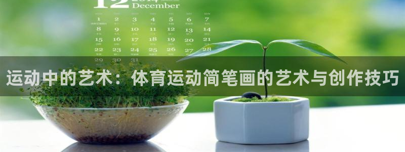 凯发官网下载平台注册要钱吗安全吗：运动中的艺术：体育