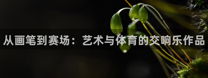 海南凯发官网下载：从画笔到赛场：艺术与体育的交响乐作