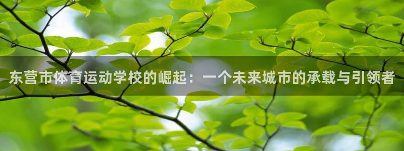 凯发官网下载是干嘛的公司：东营市体育运动学校的崛起：