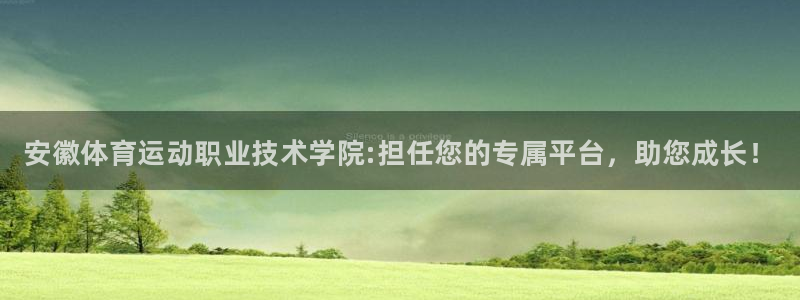 凯发官网下载平台是正规平台吗知乎：安徽体育运动职业技