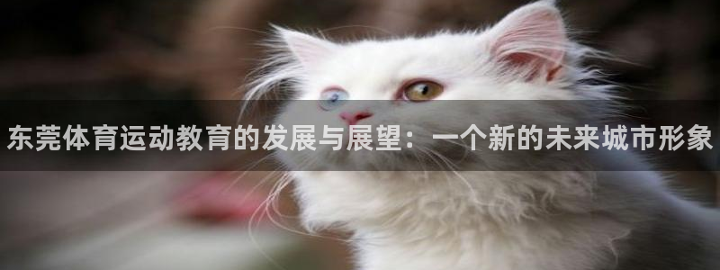 凯发官网下载平台假的吗是真的吗：东莞体育运动教育的发