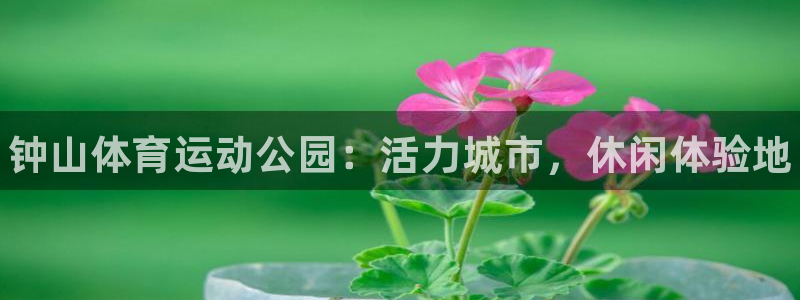 凯发官网下载招商电话是多少啊：钟山体育运动公园：活力