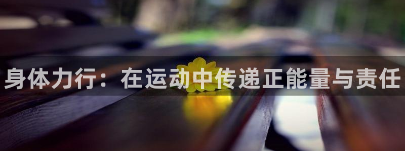 凯发官方正版app集团官网首页网址：身体力行：在运动