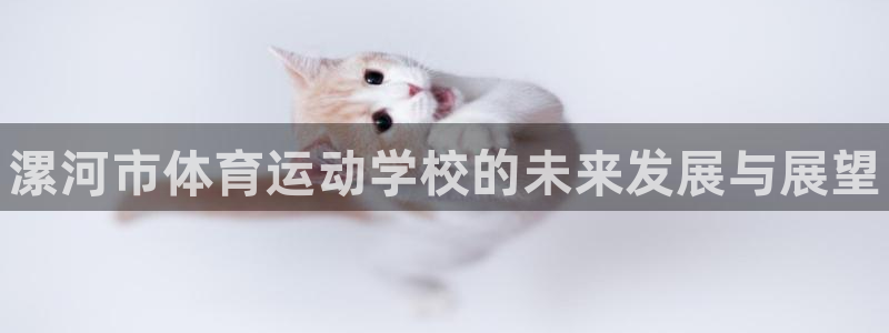 凯发官方集团官网：漯河市体育运动学校的未来发展与展望