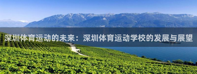 凯发官方正版app娱乐是那个系列的台子：深圳体育运动的未来：