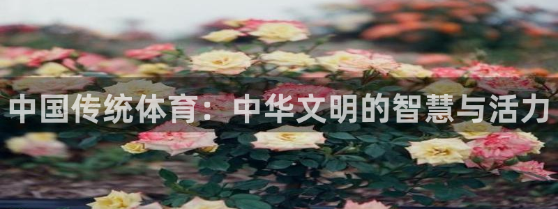 凯发官网下载平台注册：中国传统体育：中华文明的智慧与活力