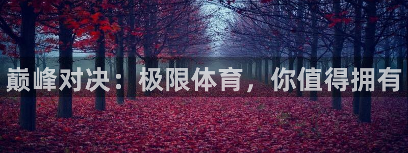 凯发官网下载招商电话地址