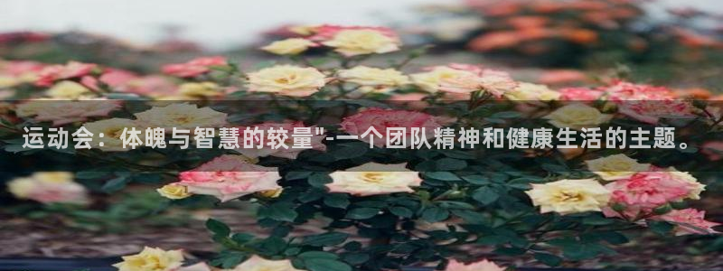 凯发k8官网
