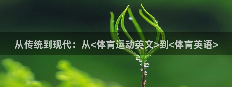 凯发k8网址官网备用：从传统到现代：