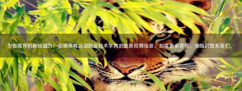 凯发官网下载招商电话号码是多少