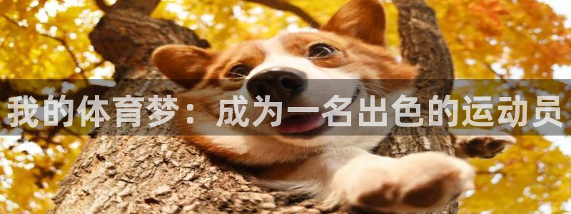 凯发官网下载招商电话是多少啊