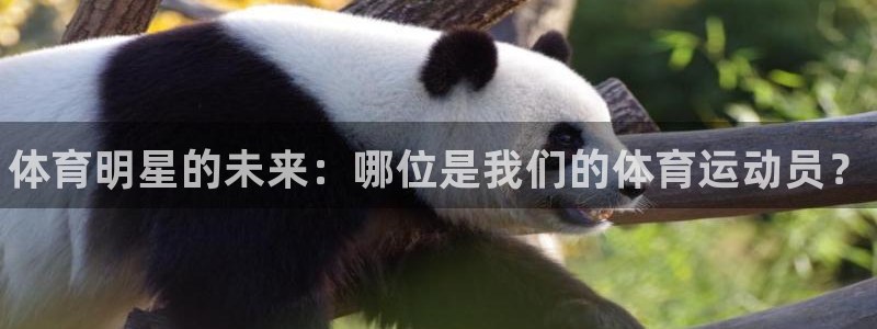 凯发官网下载平台假的吗是真的吗：体育明星的未来：哪位是我们的